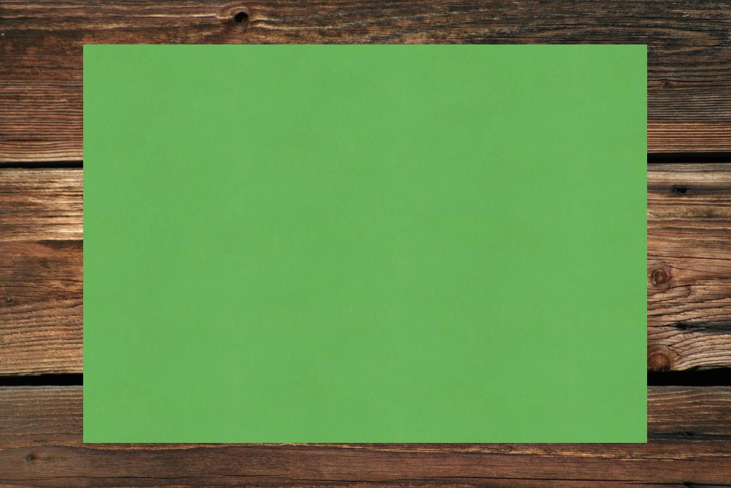 Einzelkarten A4 210x297 mm Wiesengrün 230 g/qm